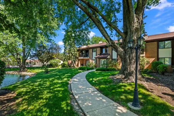 2221 Wharf Drive #208, Woodridge, IL 60517