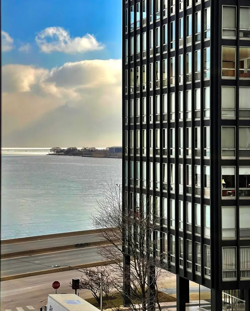 880 N Lake Shore Drive #25H, Chicago, IL 60611 - #1