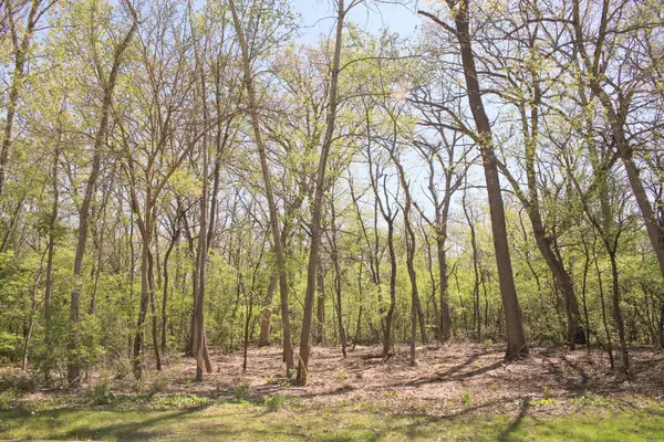 910 Echo (lot 6) Trail, Marengo, IL 60152