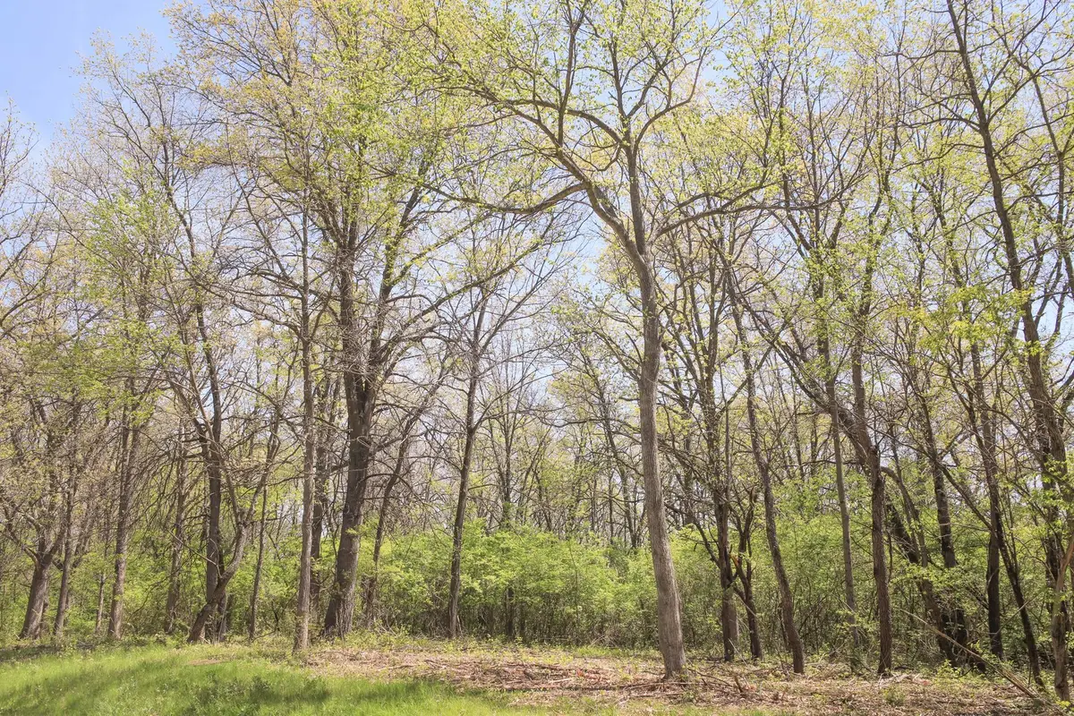 704 Echo (lot 21) Trail, Marengo, IL 60152 - #1
