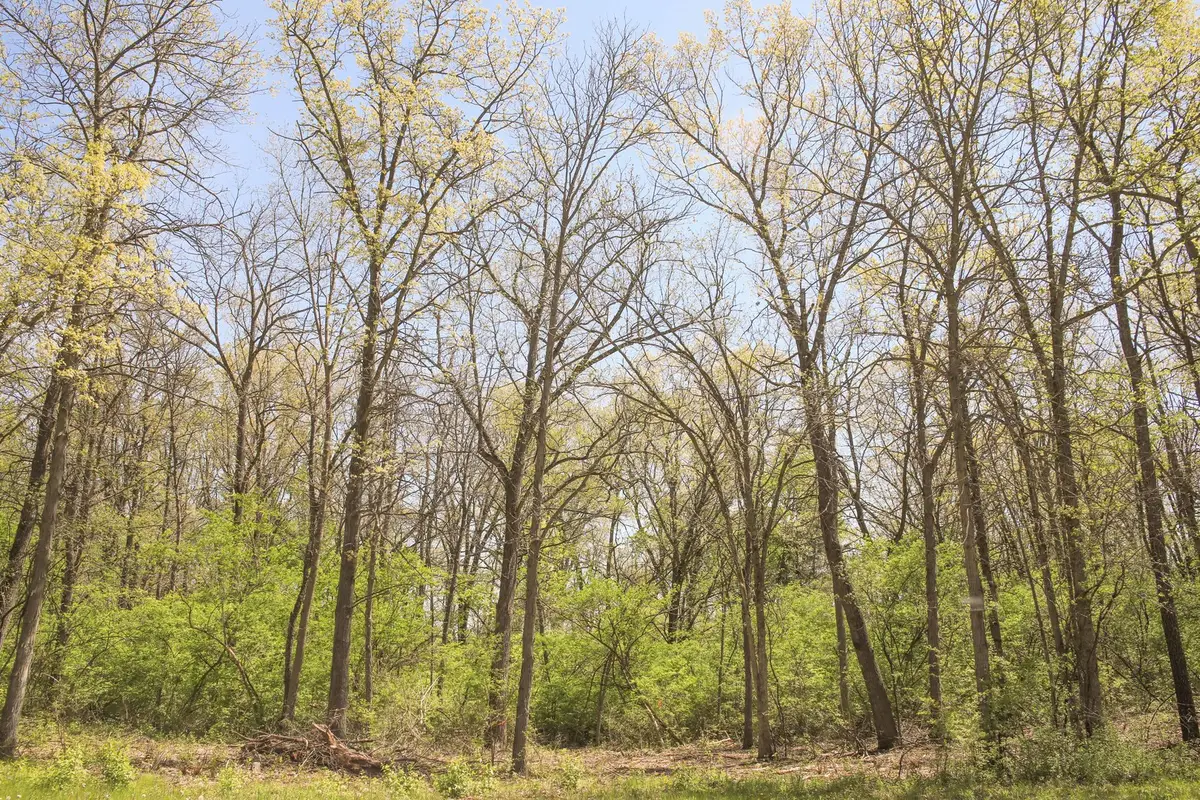 806 Echo (lot 22) Trail, Marengo, IL 60152 - #1