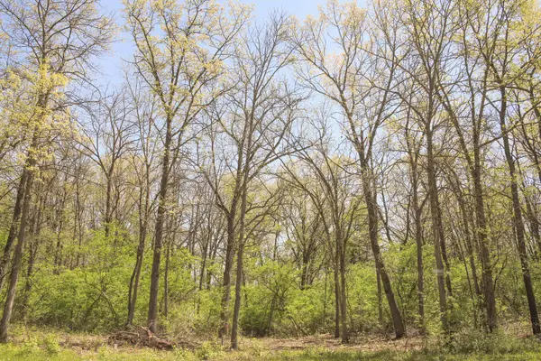 806 Echo (lot 22) Trail, Marengo, IL 60152