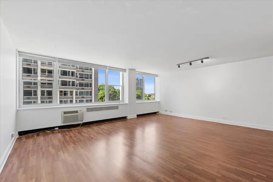 4250 N Marine Drive #531, Chicago, IL 60613 - #3