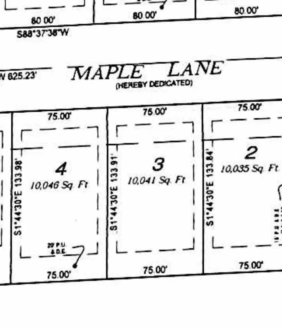 039 Maple Lane, Manhattan, IL 60442 - #2