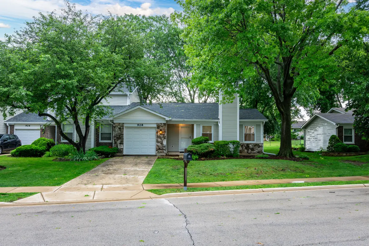 928 Colony Lake Drive, Schaumburg, IL 60194 - #1