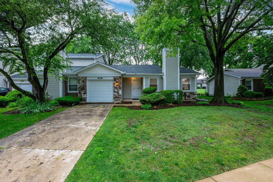 928 Colony Lake Drive, Schaumburg, IL 60194 - #2