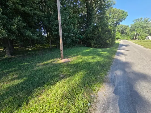 0000 E North Avenue, Bluford, IL 62814 - #2
