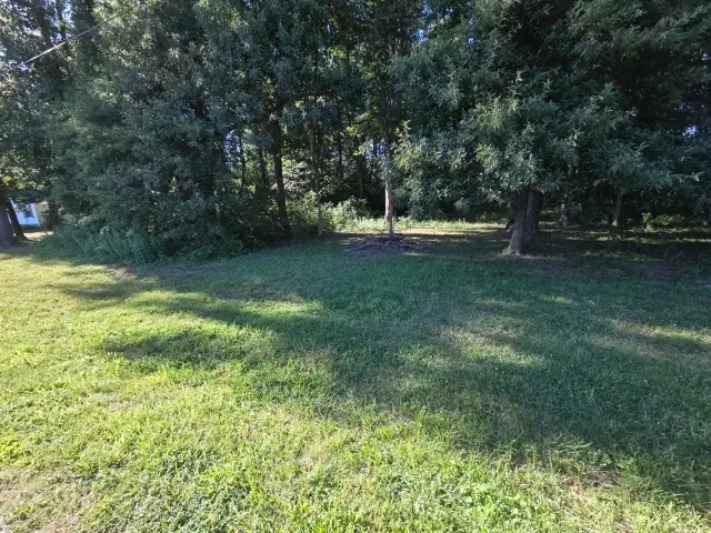0000 E North Avenue, Bluford, IL 62814 - #3