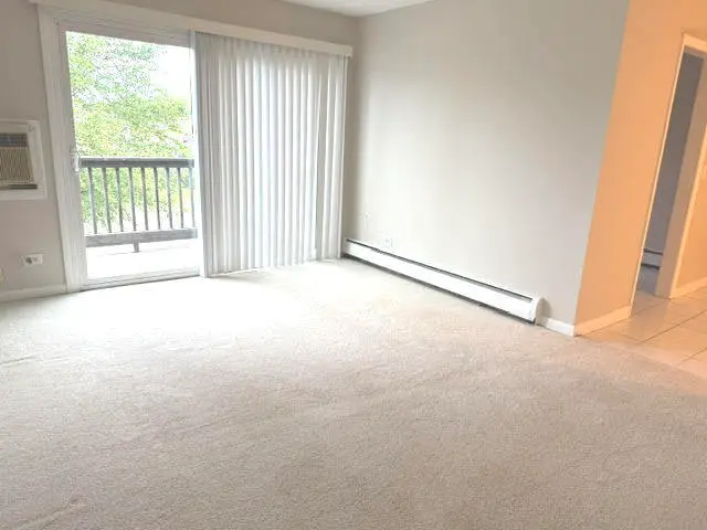 330 N Carter Street #203, Palatine, IL 60067 - #2