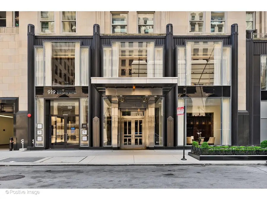 159 E Walton Place #8G, Chicago, IL 60611 - #2