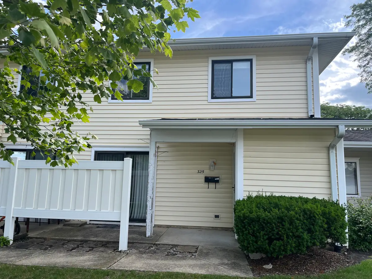 325 Bayview Point, Schaumburg, IL 60194 - #1