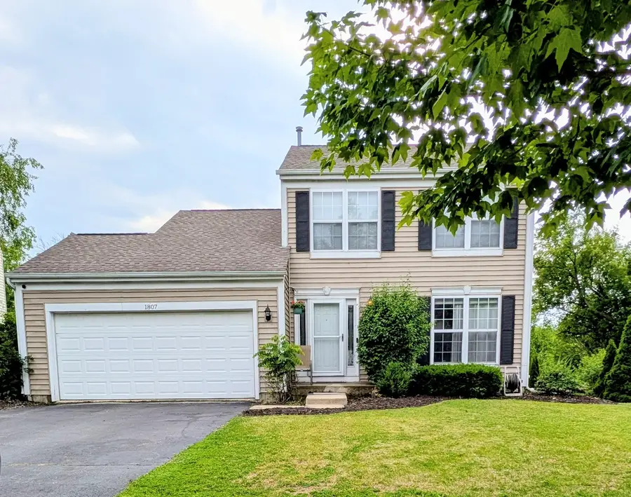 1807 Van Dyke Lane, Carpentersville, IL 60110 - #2