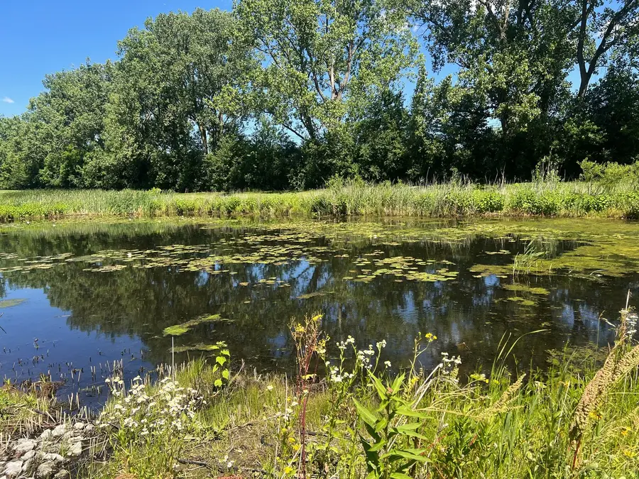 6850 W Winding Trail #202, Oak Forest, IL 60452 - #3