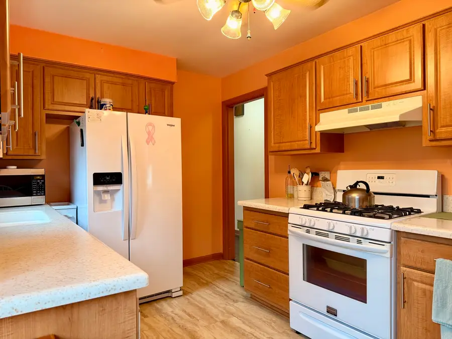 1105 E Oak Avenue, La Grange Park, IL 60526 - #3