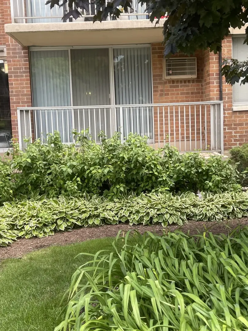 2211 S Stewart Avenue #1C, Lombard, IL 60148 - #2