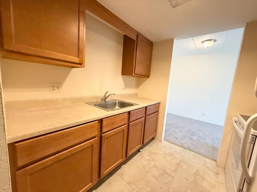 1 Renaissance Place #505, Palatine, IL 60067 - #3