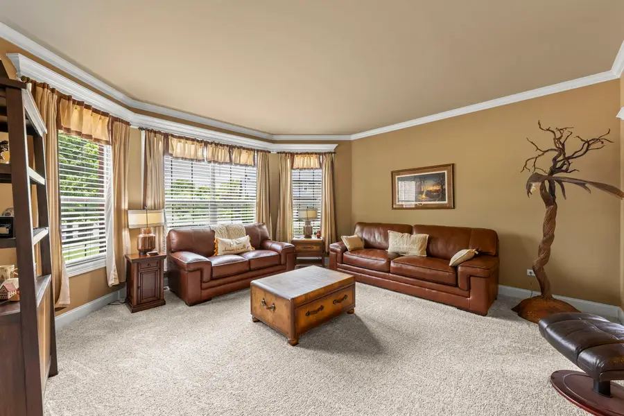16022 S Selfridge Circle, Plainfield, IL 60586 - #3