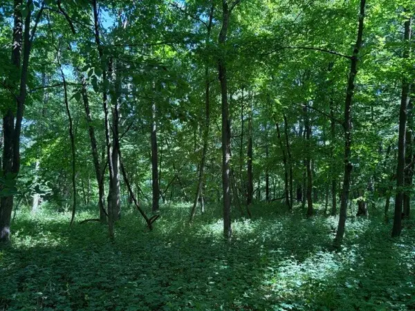 15 Navajo Court, Putnam, IL 61560