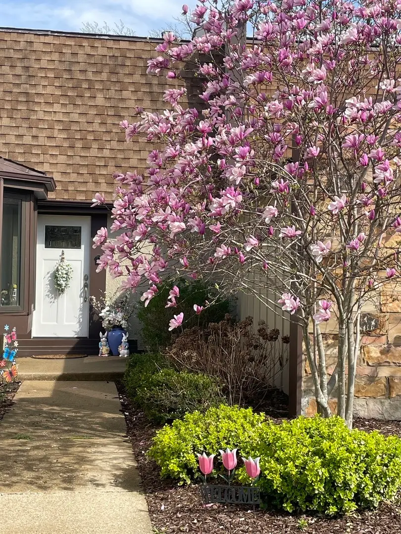 139 Cascade Drive, Indian Head Park, IL 60525 - #2