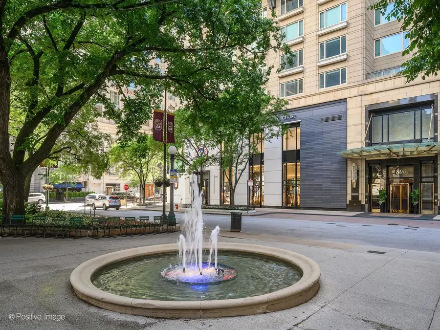 800 N Michigan Avenue #4703, Chicago, IL 60611 - #2