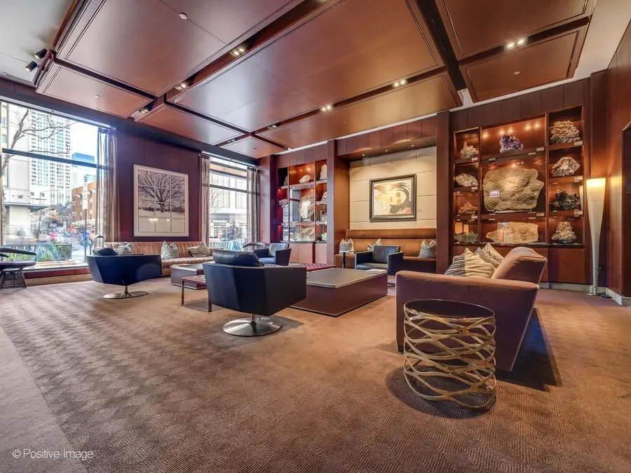 800 N Michigan Avenue #4703, Chicago, IL 60611 - #3