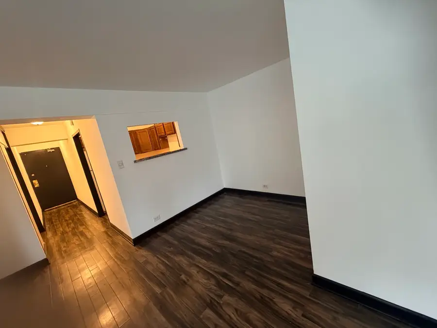7337 S South Shore Drive #326, Chicago, IL 60649 - #2