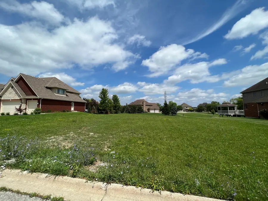 20389 Grand Traverse Drive, Frankfort, IL 60423 - #2