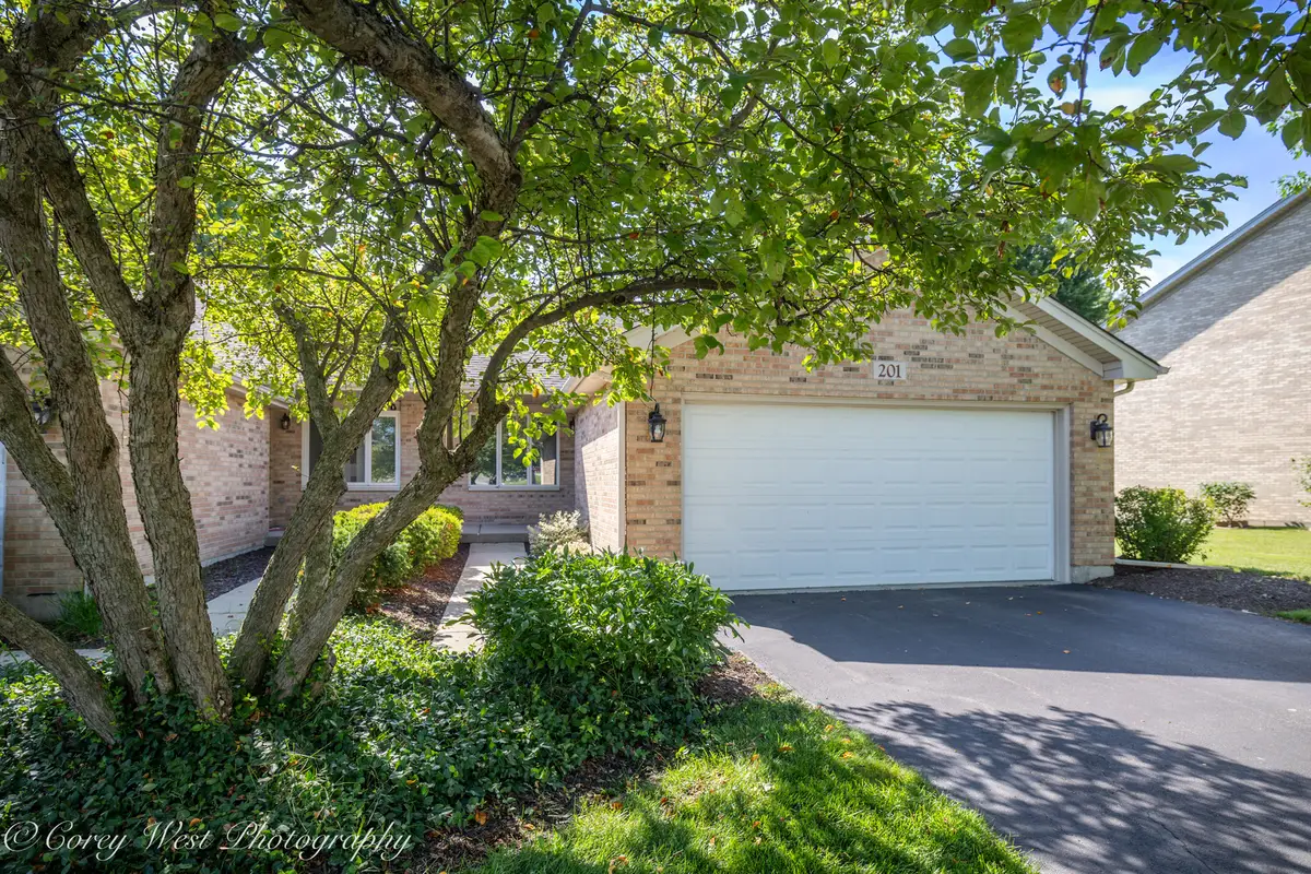 201 Conley Drive, Elburn, IL 60119 - #1