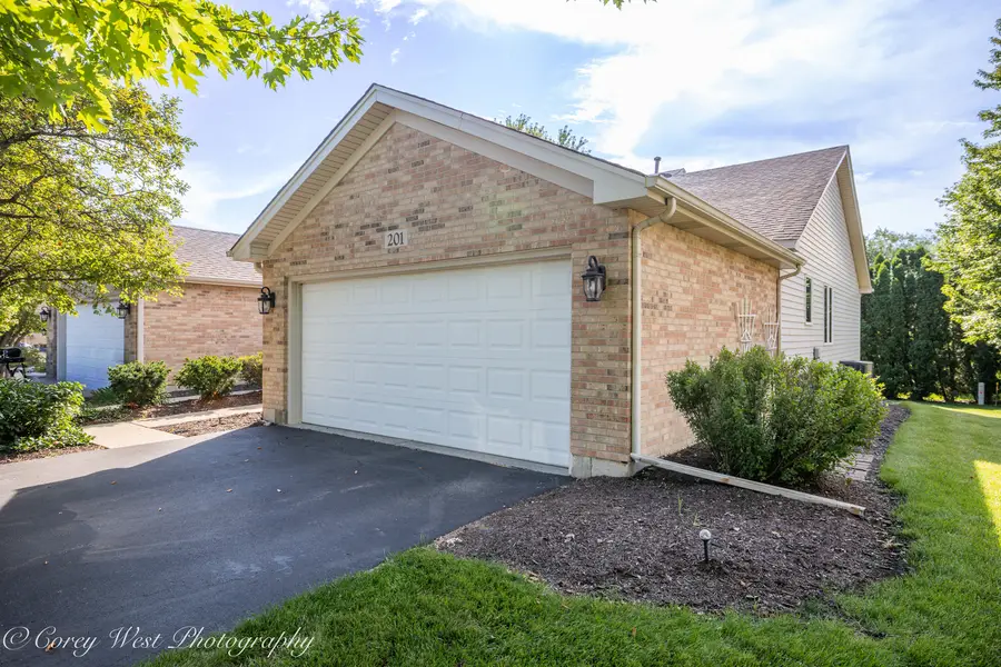 201 Conley Drive, Elburn, IL 60119 - #3