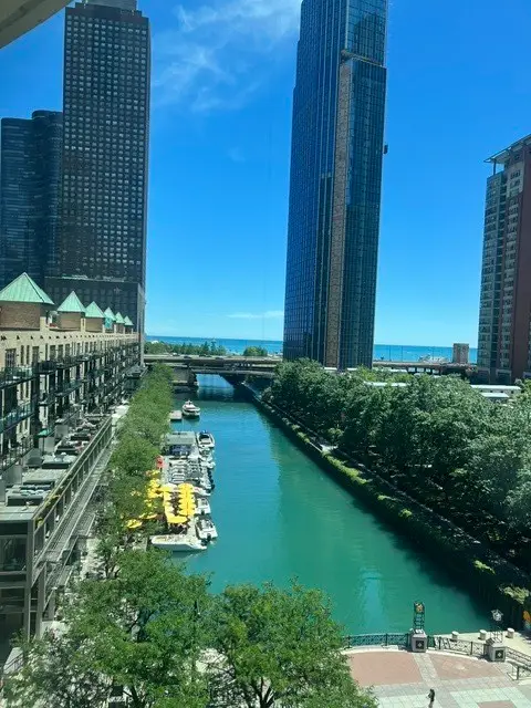 480 N Mcclurg Court #911, Chicago, IL 60611 - #2