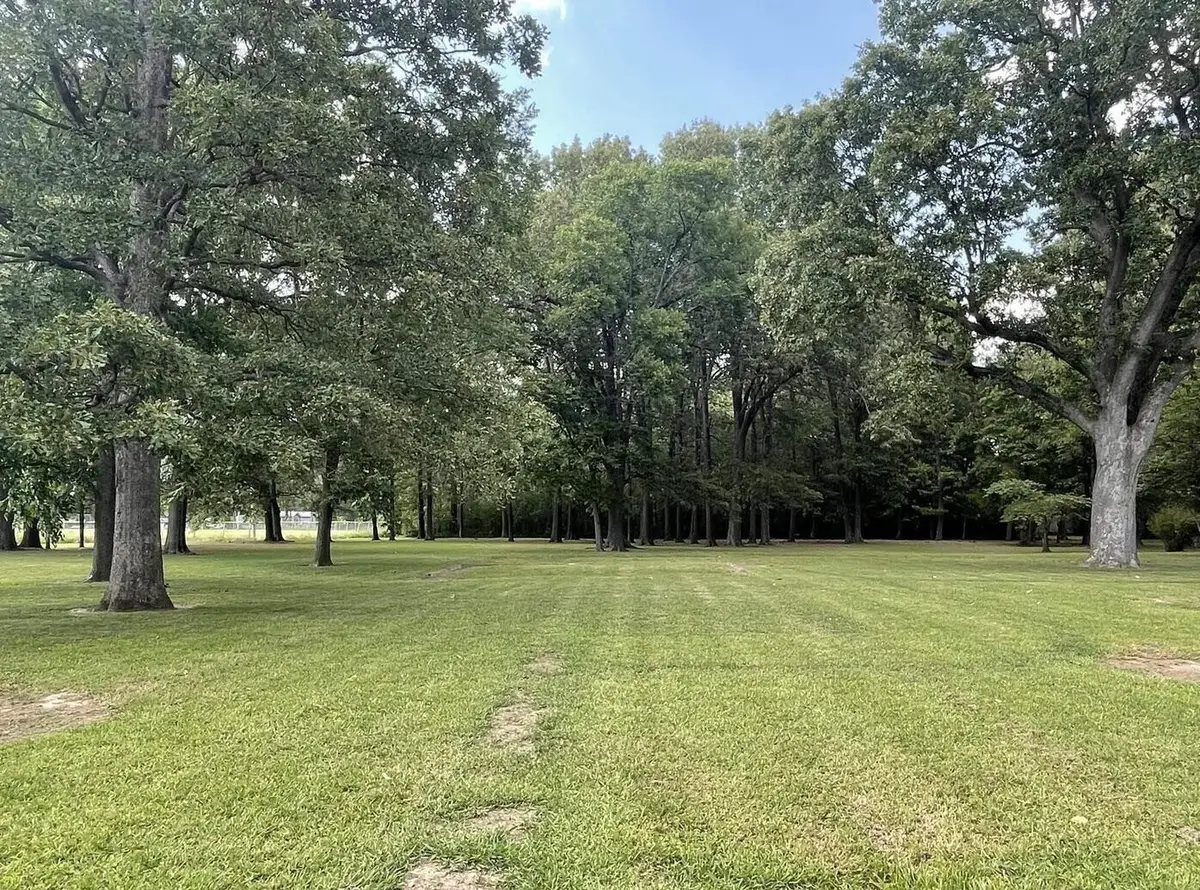 1501 Catherine Street, Metropolis, IL 62960 - #1