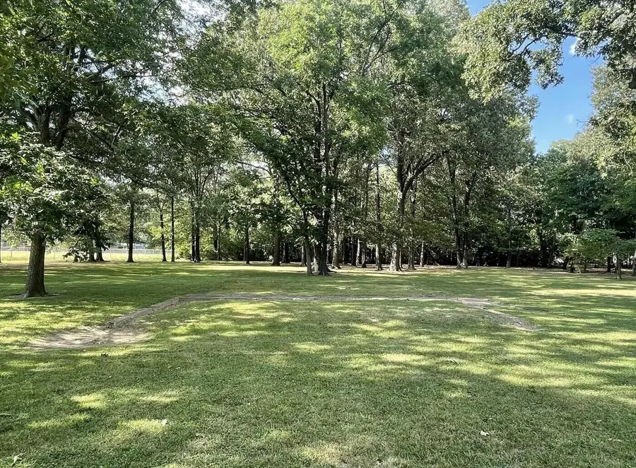 1501 Catherine Street, Metropolis, IL 62960 - #2