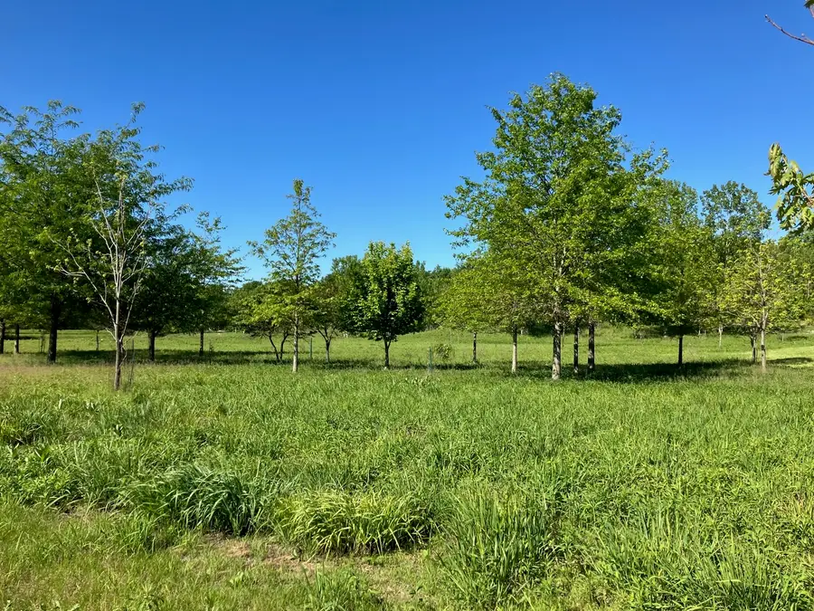 2909 N Brickhouses Road, Urbana, IL 61802 - #2