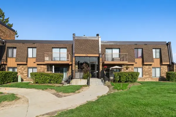 711 Tipperary Court #2D, Schaumburg, IL 60193