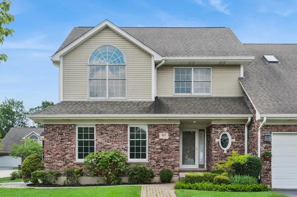 875 W Wilson Street, Palatine, IL 60067