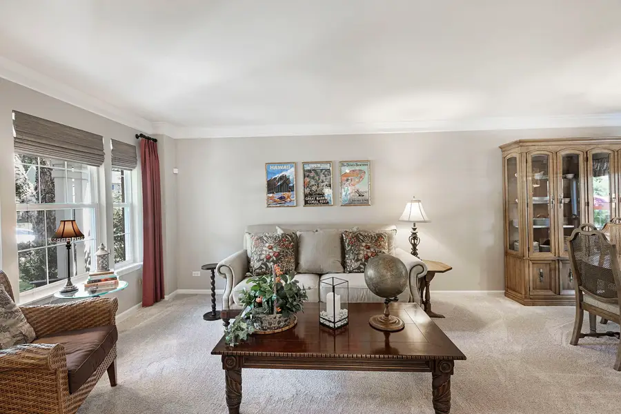 548 Arbor Lane, South Elgin, IL 60177 - #3