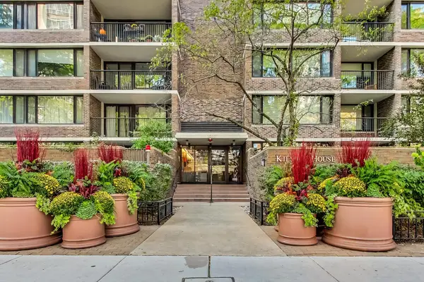 1555 N Sandburg Terrace #206, Chicago, IL 60610