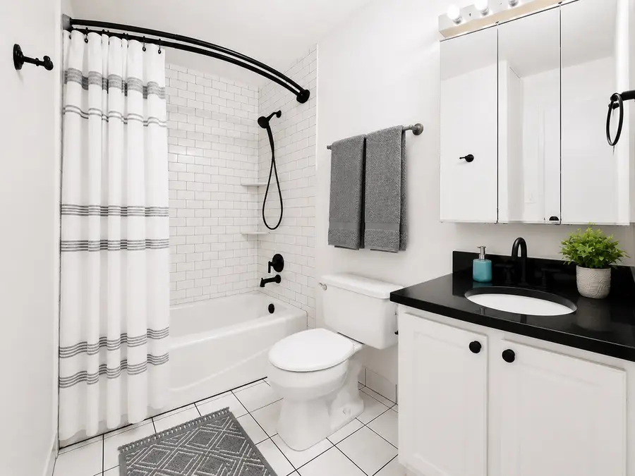 10 E Ontario Street #4103, Chicago, IL 60611 - #3