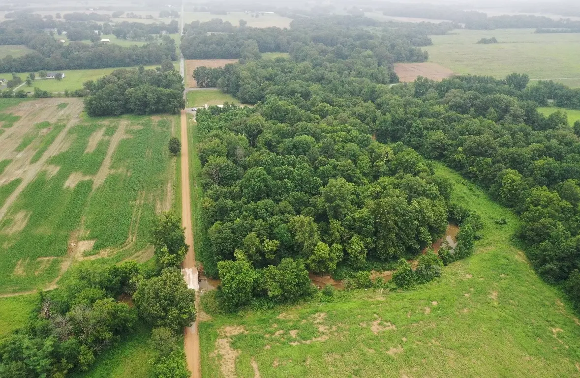 TBD S Us 45 Road, Brookport, IL 62910 - #1