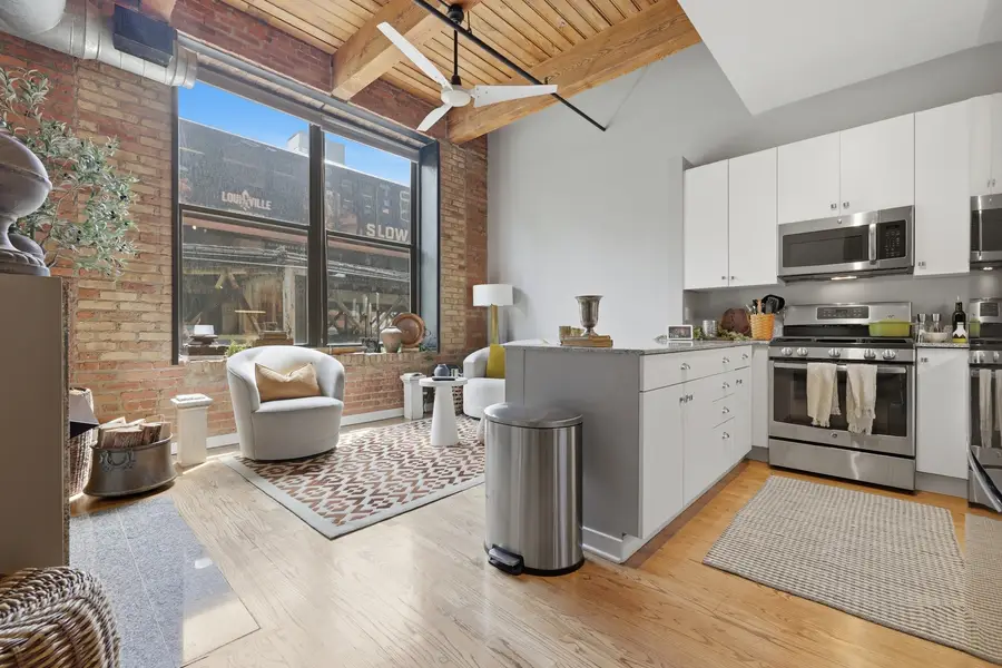 300 W Grand Avenue #203, Chicago, IL 60654 - #3