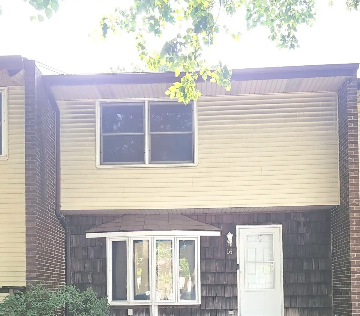 16 Dan Ireland Drive, Plainfield, IL 60544 - #1