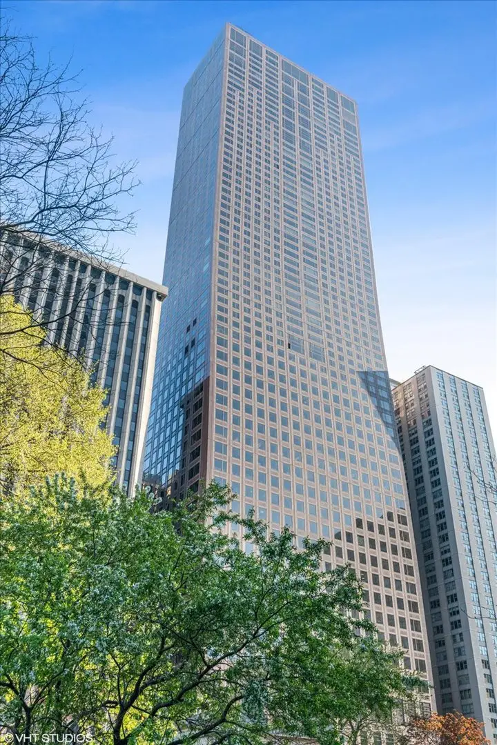 161 E Chicago Avenue #33C, Chicago, IL 60611 - #2