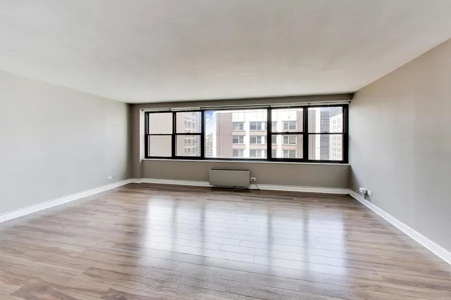 850 N Dewitt Place #20A, Chicago, IL 60611 - #3