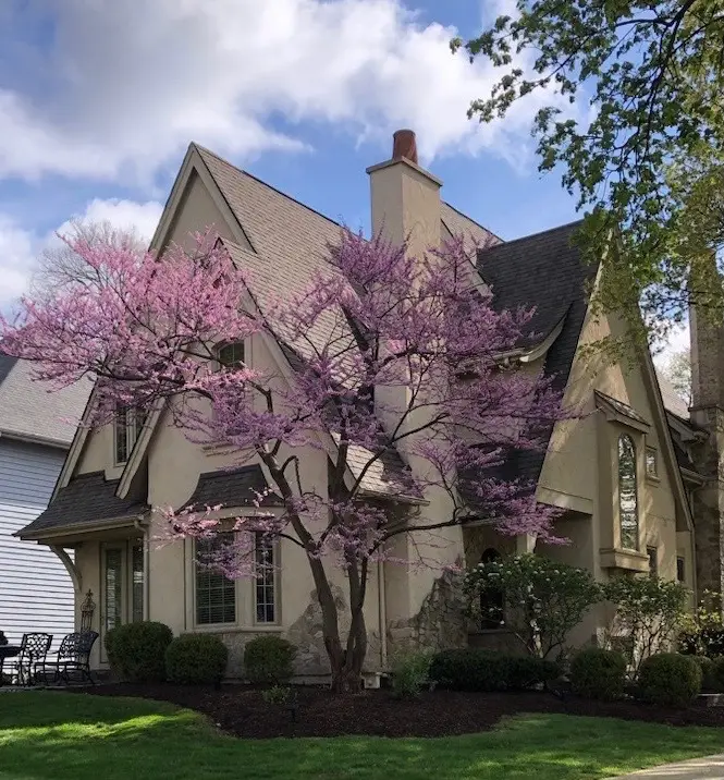 706 N Ellsworth Street, Naperville, IL 60563 - #1