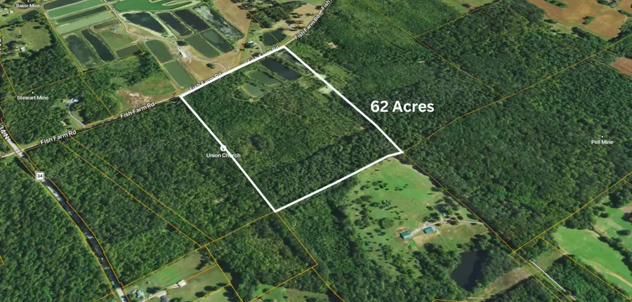 40 Fish Farm Road, Golconda, IL 62938 - #3