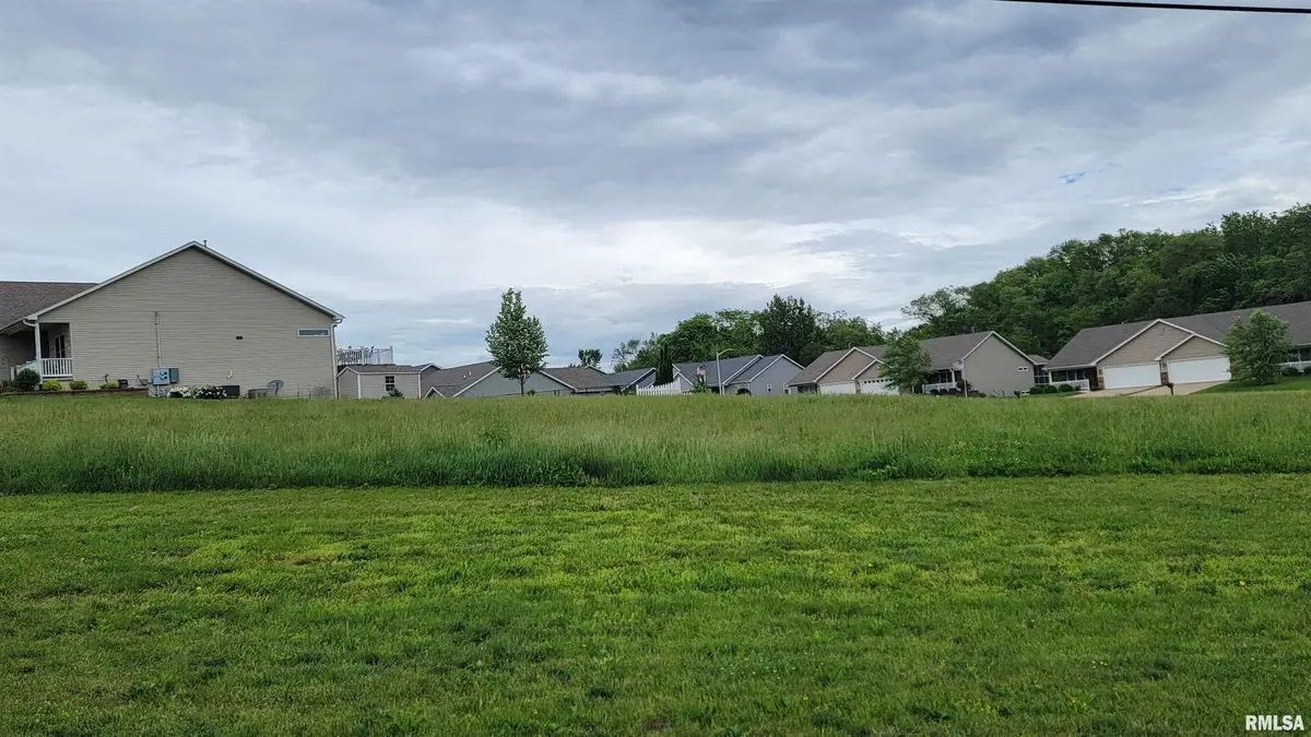 602 E 19th Avenue, Coal Valley, IL 61240 - #1
