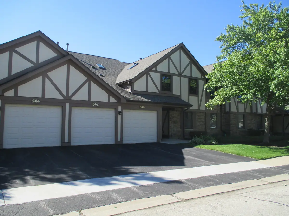 544 Elizabeth Drive #544, Wood Dale, IL 60191 - #1