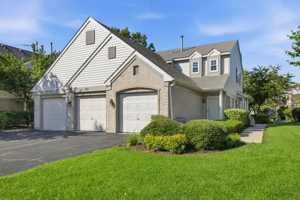 1959 Heron Avenue #D, Schaumburg, IL 60193