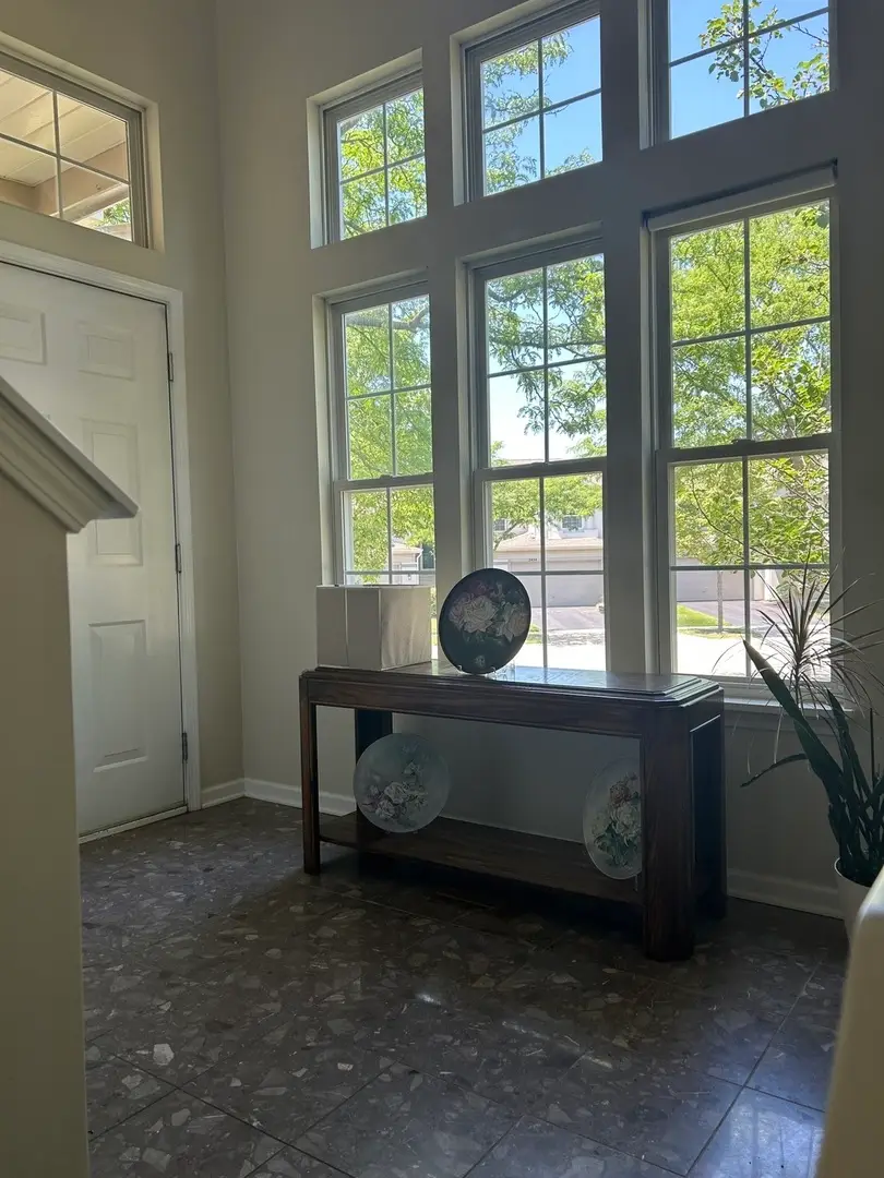 2490 Palazzo Court #2490, Buffalo Grove, IL 60089 - #3