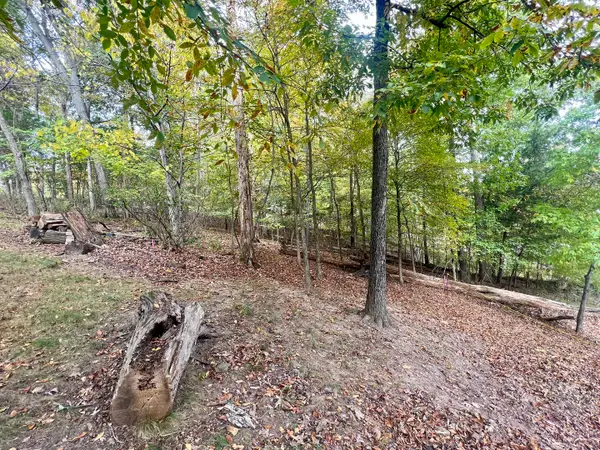 0 Cardinal Ln & Mark Dr, Goreville, IL 62939
